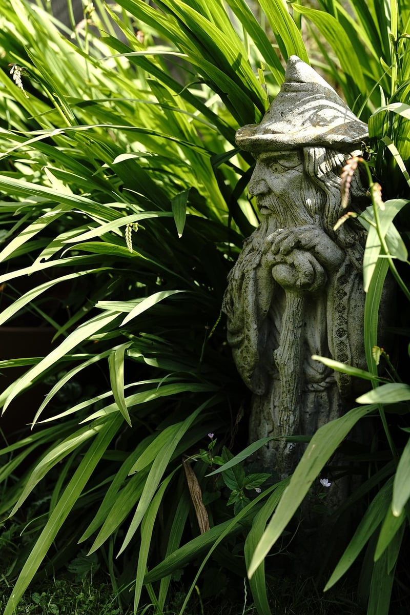 Wizard's Gardens