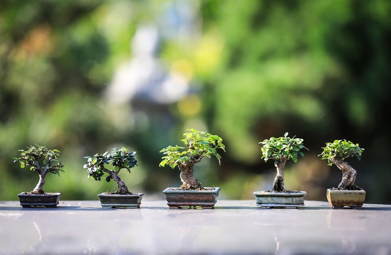 Fairy Gardening