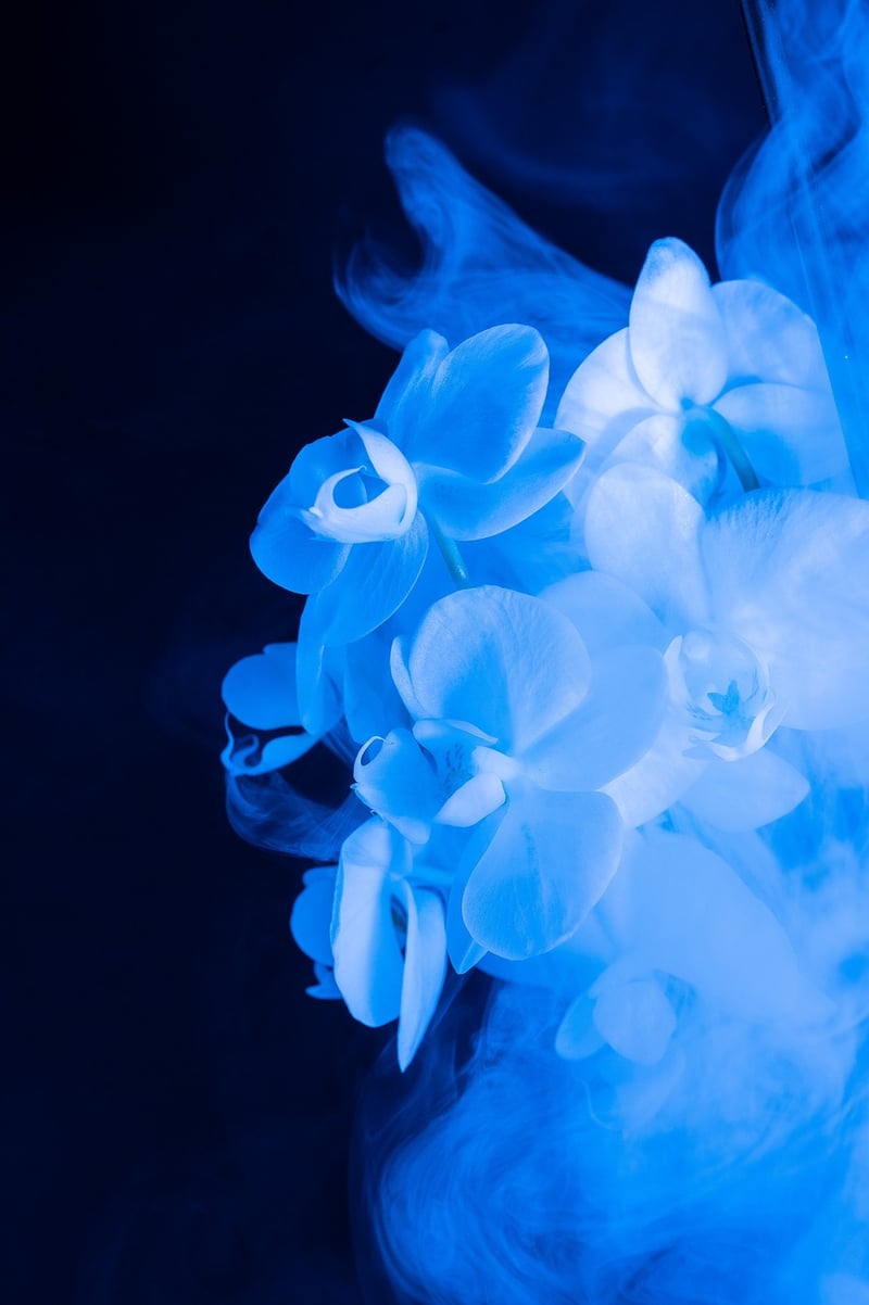 Moonlit Blossom